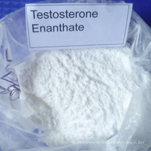 Hochwertiges rohes Steroid Testosteron Enanthate